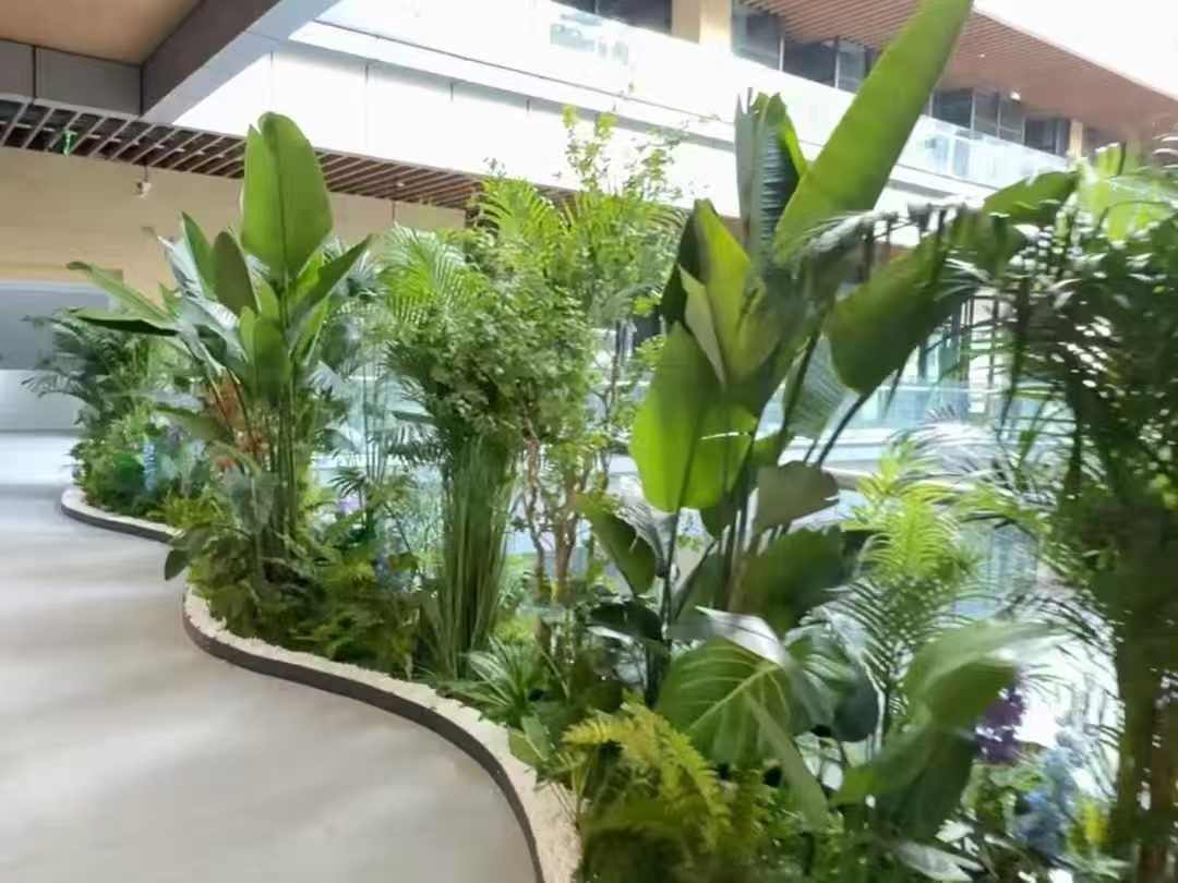 下午在万象天地修剪绿植