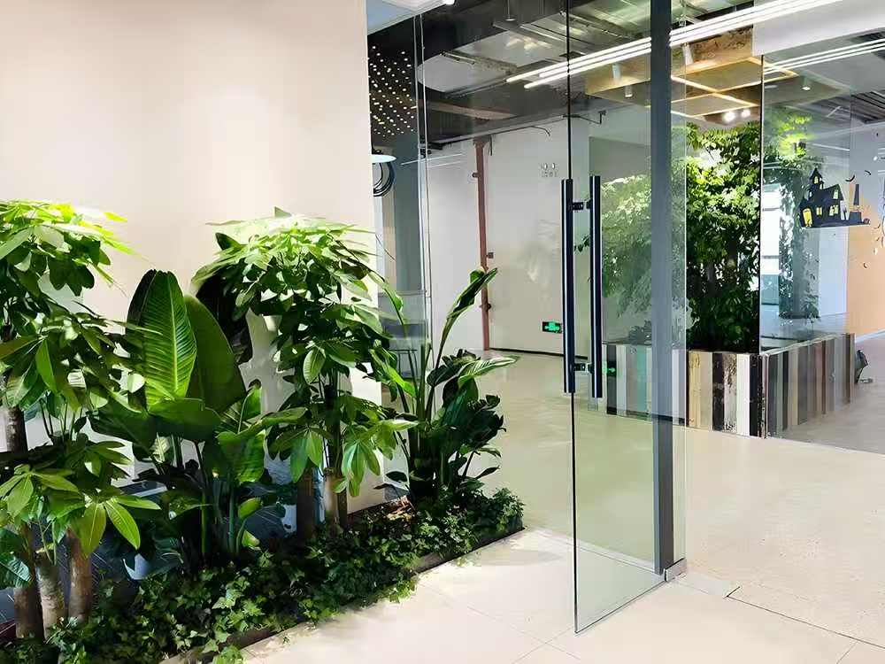 绿植租赁行业前景