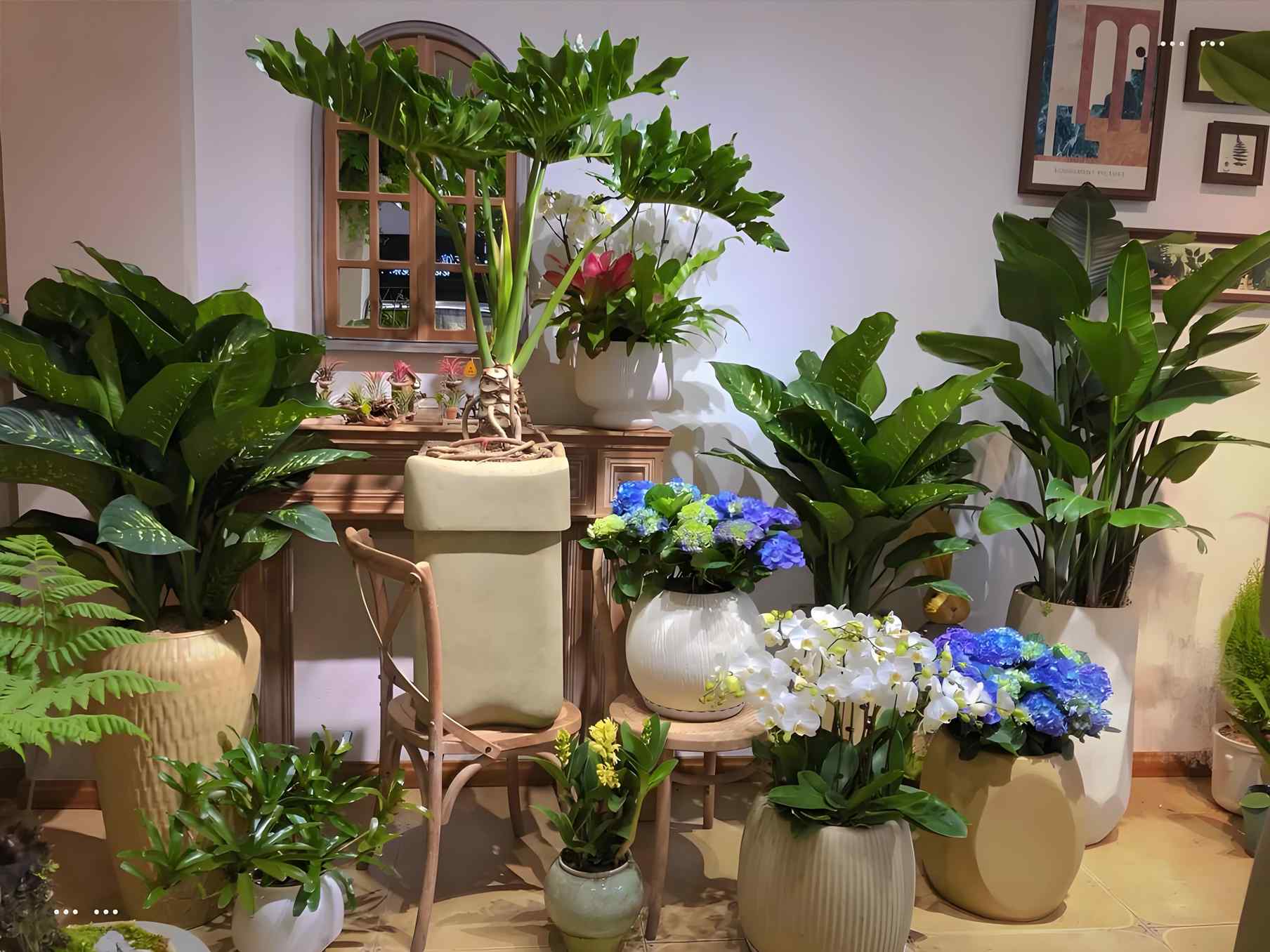 聊聊企业租绿植划不划算