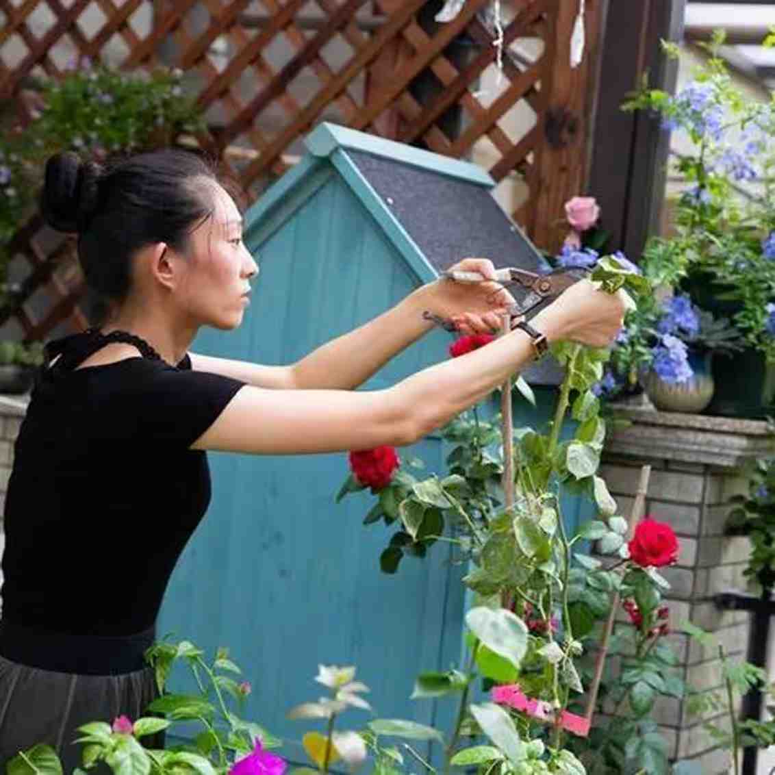 梁正芳 | 资深绿植养护师