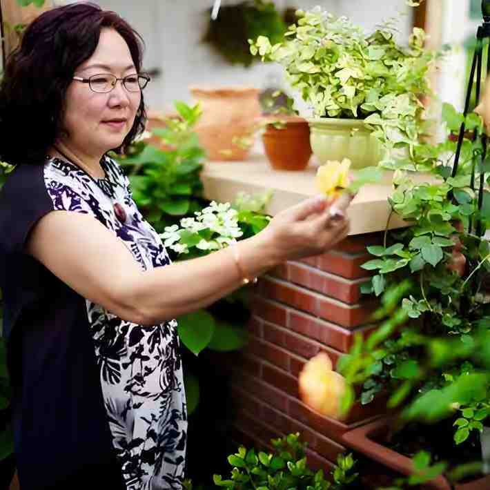 曹桂华 | 绿植管家 简介