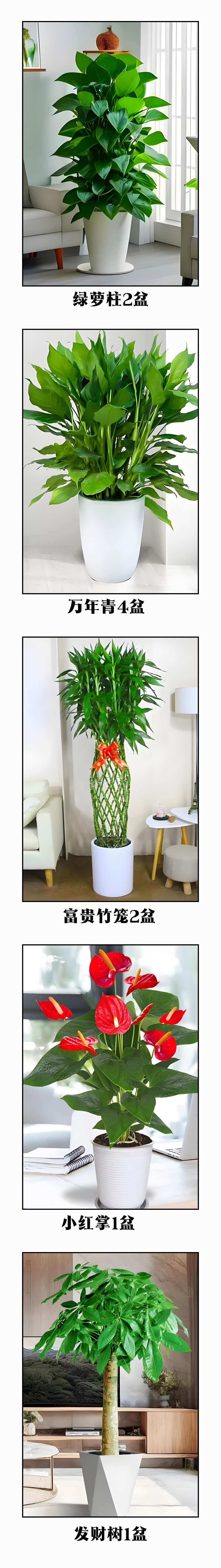 未标题-1.jpg 未标题-1.jpg