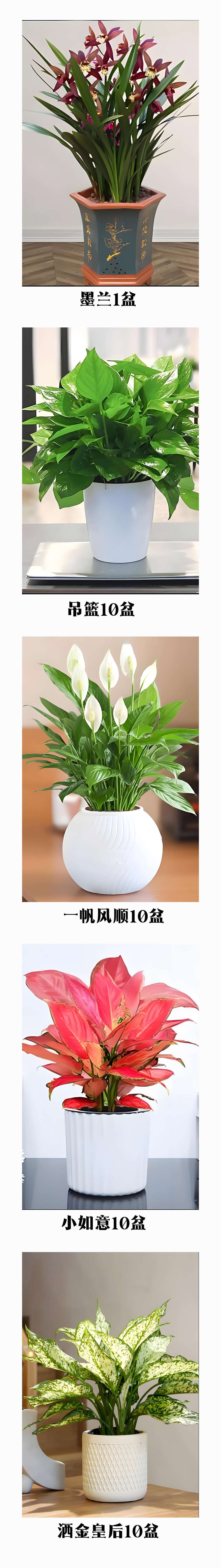 未标题-2.jpg 未标题-2.jpg