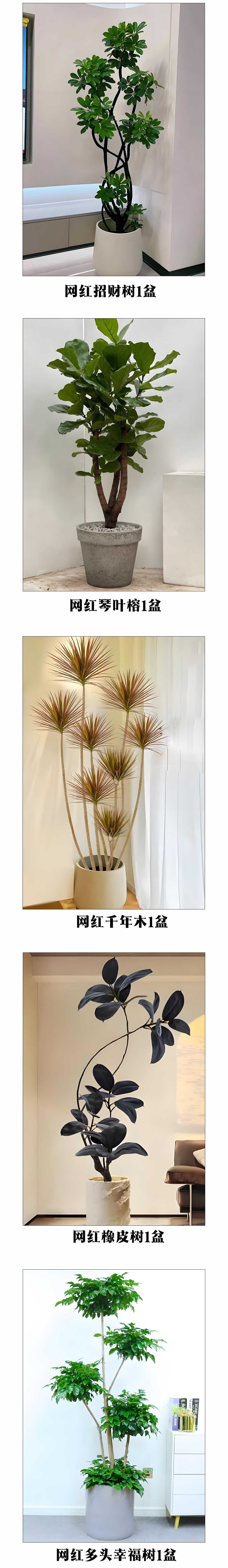 未标题-3.jpg 未标题-3.jpg