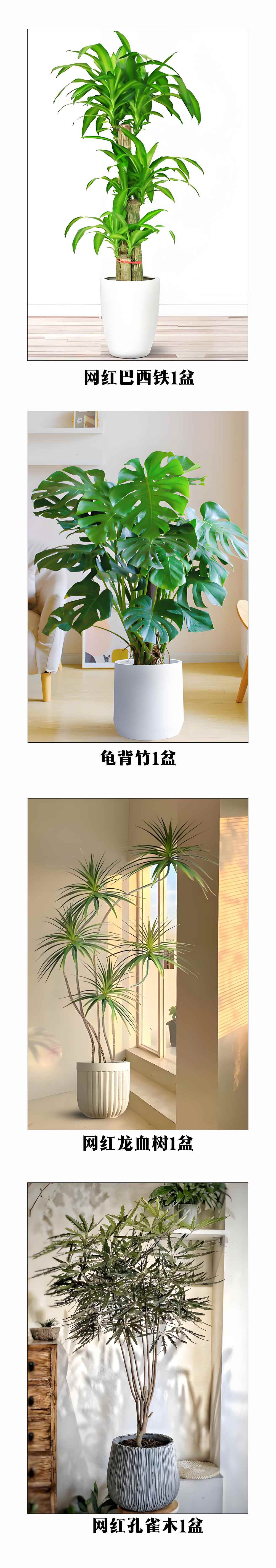 未标题-4.jpg 未标题-4.jpg