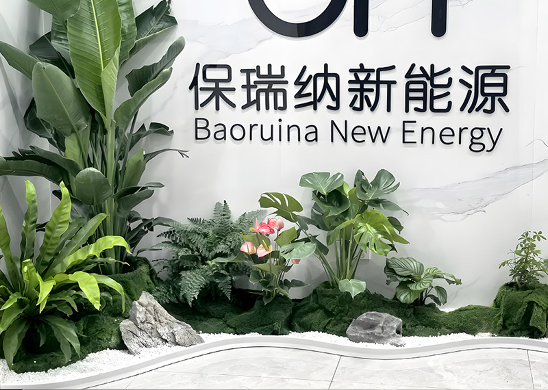 西安绿植租赁怎样成为现代企业的发展选择