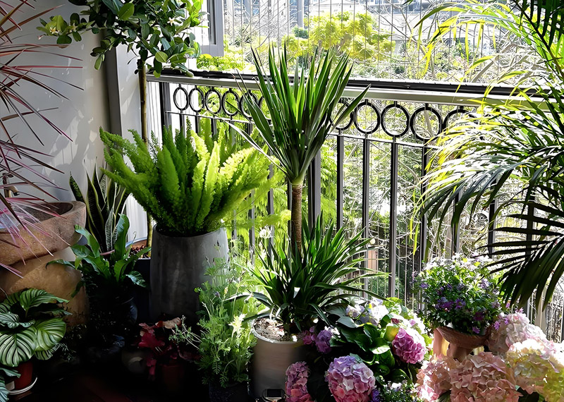 需求之变：西安冬季绿植租赁客户偏好深度解析