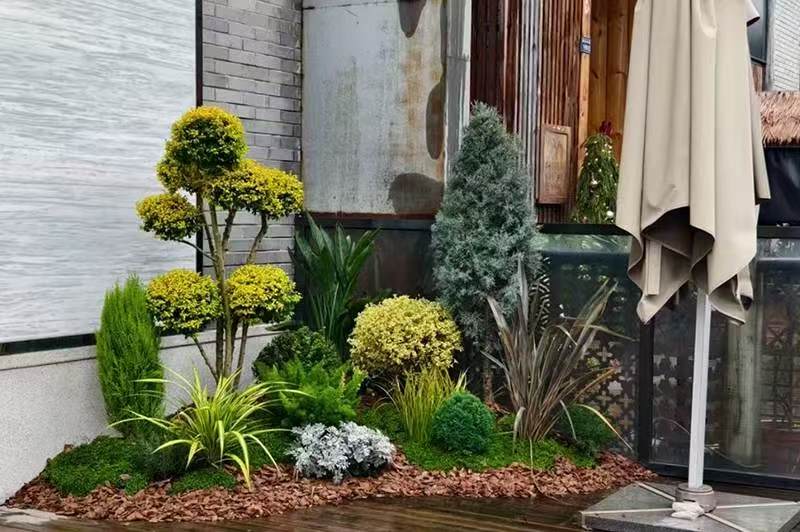 微信图片_20251019174512_364_10.jpg 微信图片_20251019174512_364_10.jpg