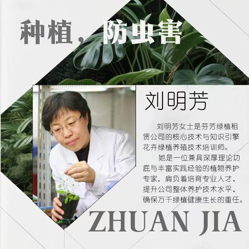 刘明芳 | 绿植养护技术讲师 简介