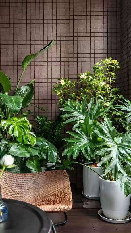 微信图片_20251022000525_374_10.jpg 微信图片_20251022000525_374_10.jpg