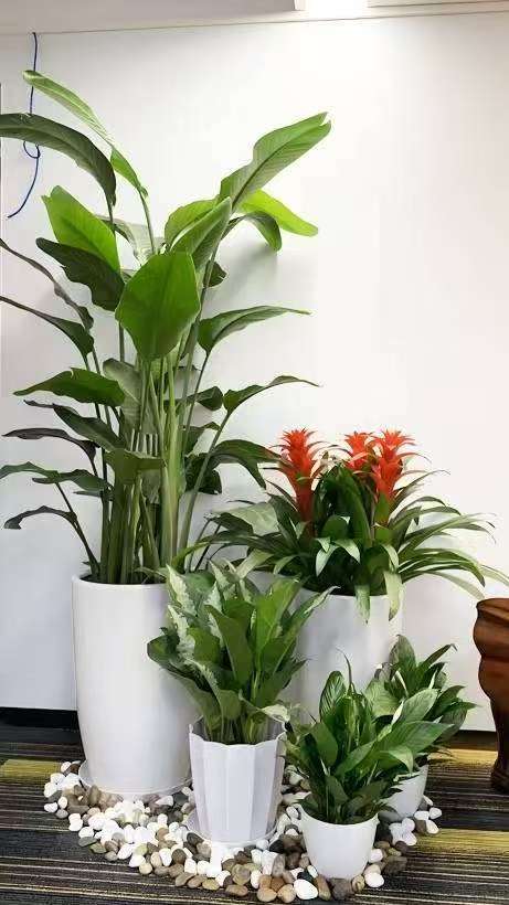 微信图片_20251022000527_377_10.jpg 微信图片_20251022000527_377_10.jpg