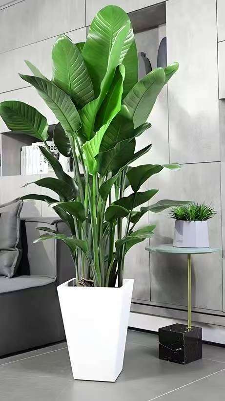 微信图片_20251022000524_373_10.jpg 微信图片_20251022000524_373_10.jpg