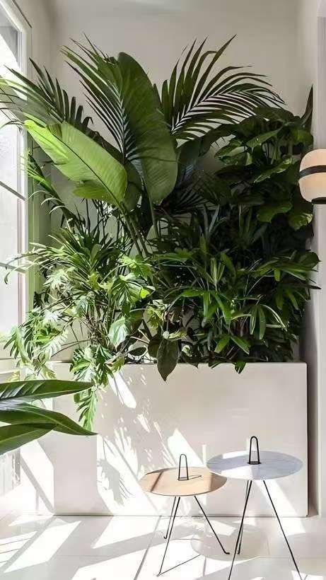 微信图片_20251022000526_376_10.jpg 微信图片_20251022000526_376_10.jpg