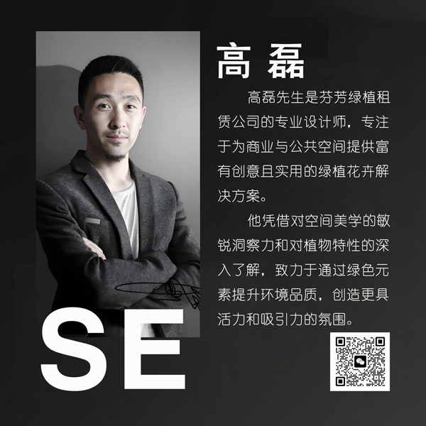 高磊 | 商业设计师简介