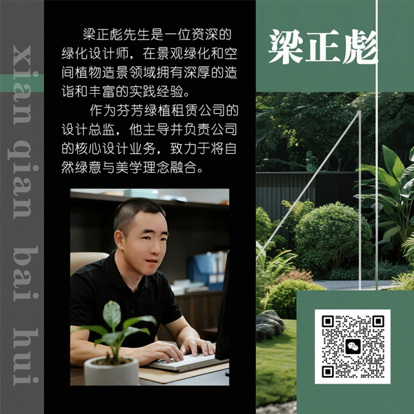 梁正彪 | 设计总监 个人资料