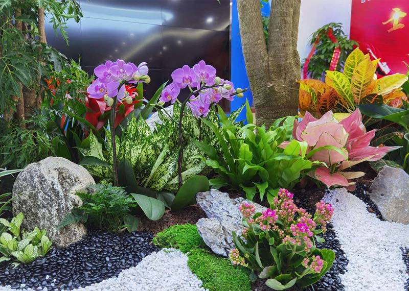 今天给电子二路写字楼摆放绿植