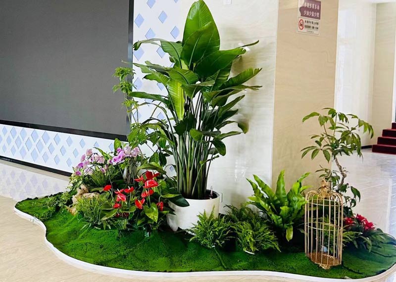 西安电视台万象天地更换绿植