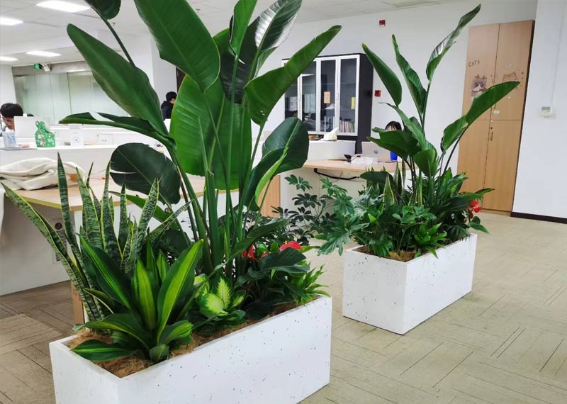 经典案例见证实力——芬芳园艺在西安的城市绿色印记