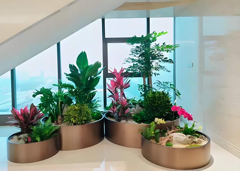 以绿为媒，用心服务——探寻西安芬芳园艺的品牌魅力与成功之道