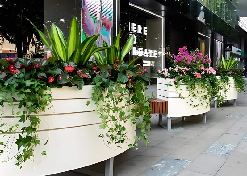 四季常青的守护者——全方位解读西安芬芳园艺绿植租赁公司