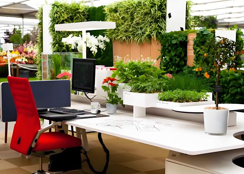 中铁西安中心绿植租赁