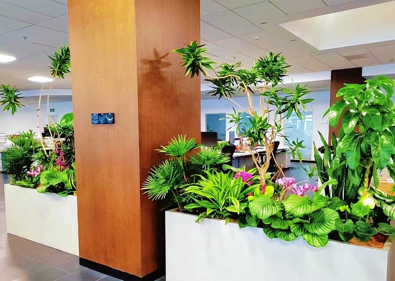 去往熙地港，探望我们芬芳园艺安置在那里的“绿色居民”。